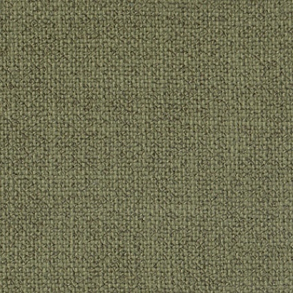 ERA OLIVE